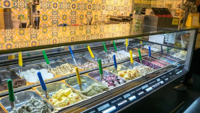 "Must Have Features For Your Ice Cream Freezers"
