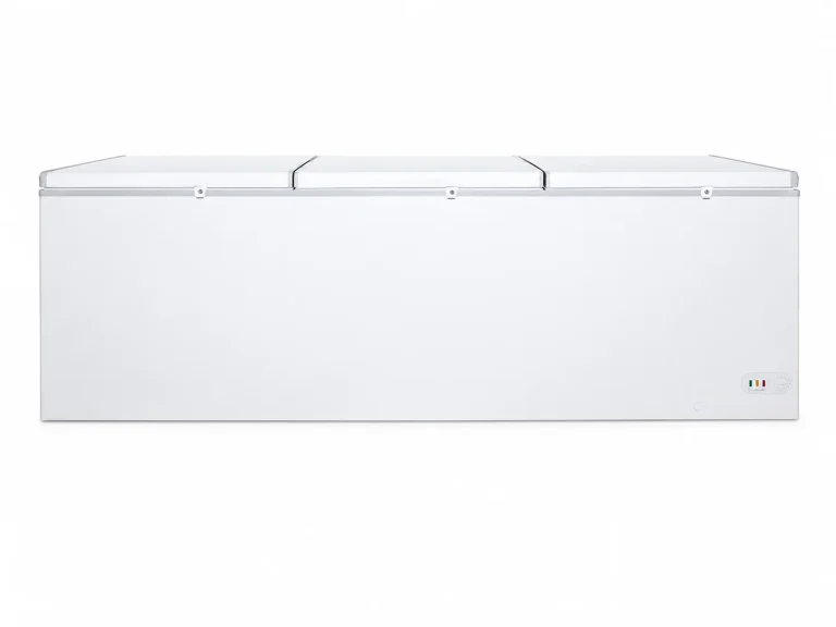BD JUMBO Jumbo Storage Freezer, three lids