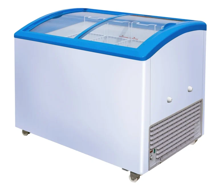 VB Curved Lid Display Freezer & Ice Cream Freezer, blue trim